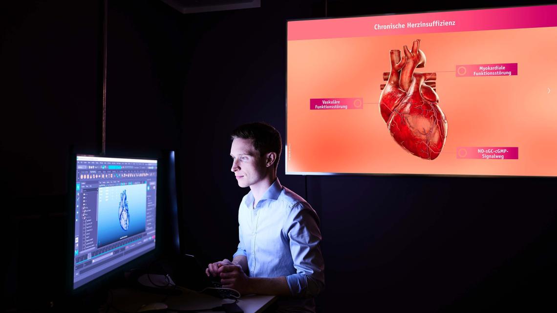 3D Visualisation