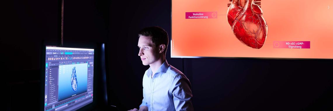 3D Visualisation